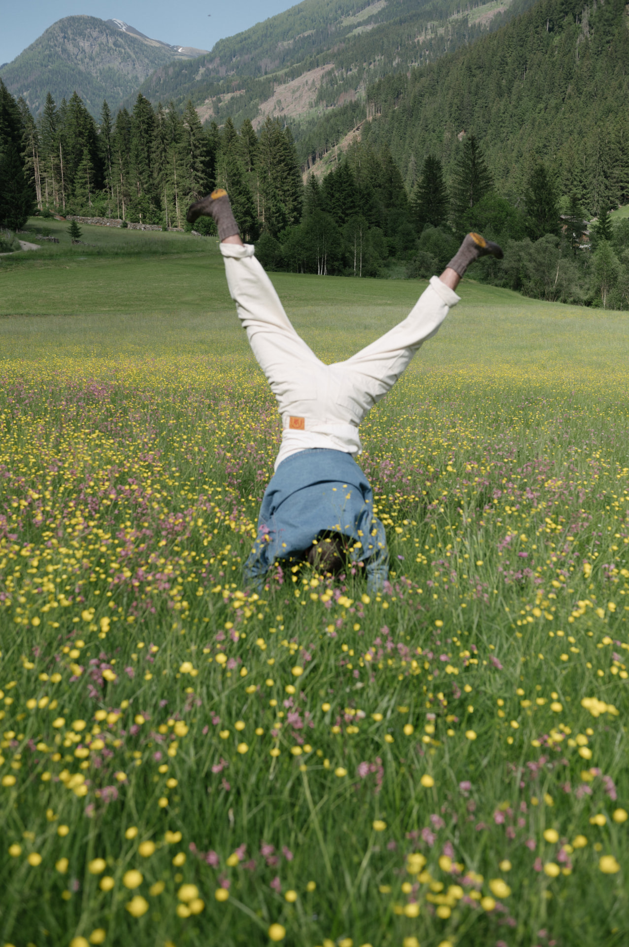 Person doing a cartwheel in a wildflower meadow with mountains in the background